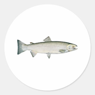Steelhead Rainbow Trout Ronde Sticker