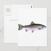 Steelhead Rainbow Trout Vist Logo Briefkaart (Voorkant / Achterkant)