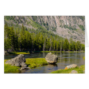Steen in Madison River