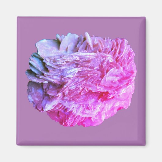 Steen | Nieuw Uitzicht | Twee toonlagen | Magneet (Voorkant)