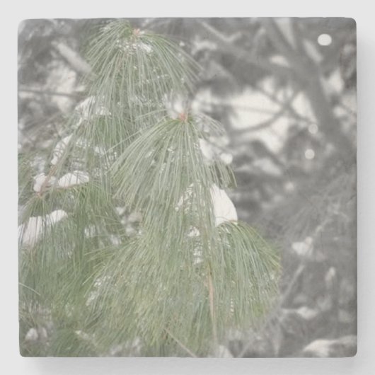 Steen Onderzetter (Voorkant)