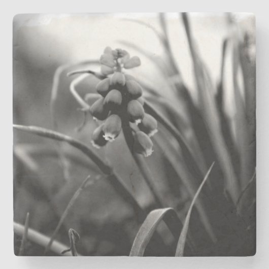 Steen Onderzetter (Voorkant)