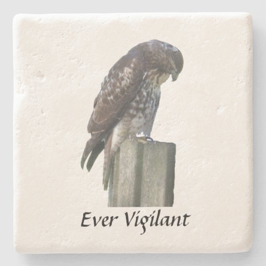 Steen Onderzetter - Falcon - Ever Vigilant (Voorkant)