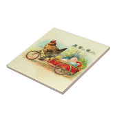  steen op fietsenrooster tegeltje (Zijkant)