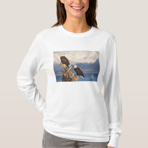 steenarend, Haliaeetus leuccocephalus, paar T-shirt