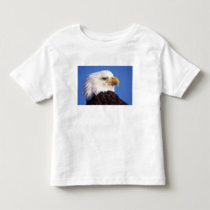 steenarend, Haliaeetus leucocephalus, close-up, 3 Kinder Shirts
