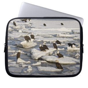 Steenarend, Haliaeetus leucocephalus, Homer, 2 Laptop Sleeve