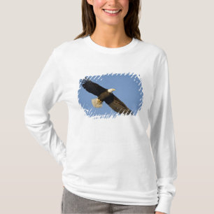 Steenarend, Haliaeetus leucocephalus, Homer, 4 T-shirt