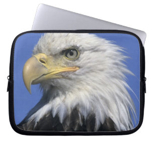 Steenarend, (Haliaeetus leucocephalus), wild, Laptop Sleeve