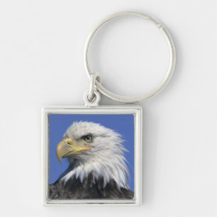 Steenarend, (Haliaeetus leucocephalus), wild, Sleutelhanger