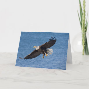 Steenarend in vlucht kaart