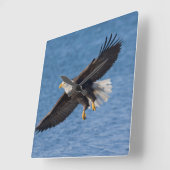 Steenarend in vlucht vierkante klok (Hoek)