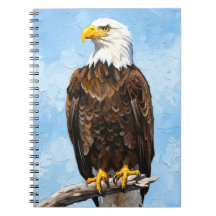 Steenarend Kunstnotitieboek |Amerikaans Natuurdagb