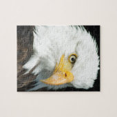 Steenarend Legpuzzel (Horizontaal)