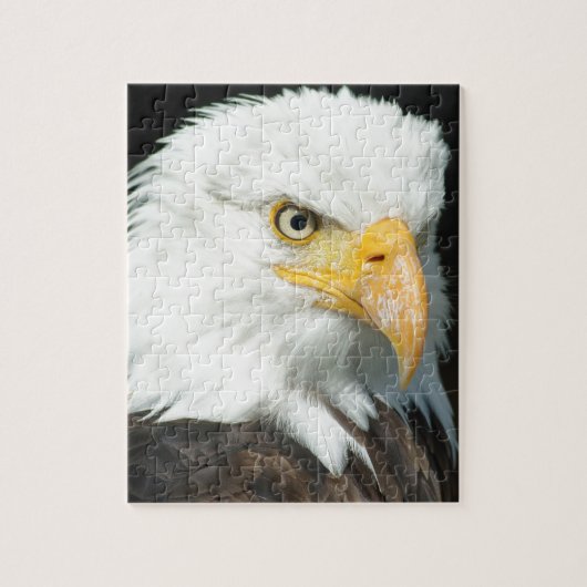 Steenarend Legpuzzel (Verticaal)
