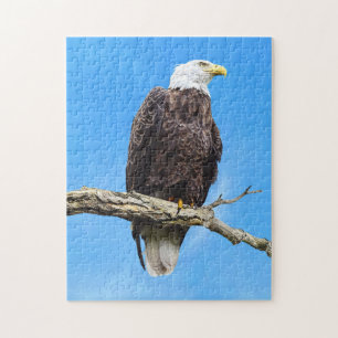 Steenarend op een tak legpuzzel