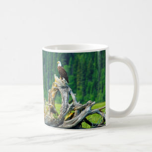 Steenarend op tak koffiemok