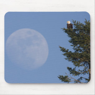 Steenarend   Rijzende volle maan Muismat