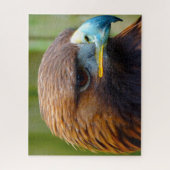 Steenarend Roofvogel. Legpuzzel (Verticaal)
