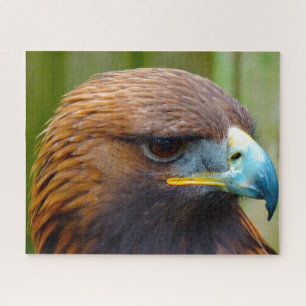 Steenarend Roofvogel. Legpuzzel