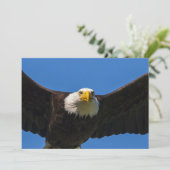 Steenarend vliegt dicht langs bedankkaart (Staand voorkant)