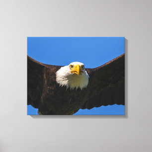 Steenarend vliegt dicht langs canvas afdruk