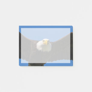 Steenarend vliegt dicht langs post-it® notes