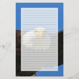 Steenarend vliegt dichtbij briefpapier