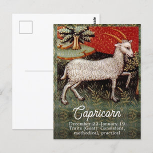 Steenbok de geit sterrenbeeld Verjaardagsfeest Briefkaart