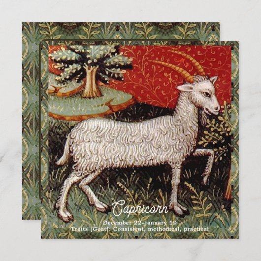 Steenbok de geit sterrenbeeld Verjaardagsfeest Kaart (Voorkant / Achterkant)