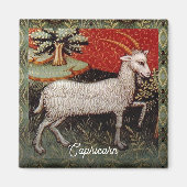 Steenbok de geit sterrenbeeld Verjaardagsfeest Magneet (Voorkant)