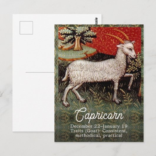 Steenbok de Geit Zodiac Sterrenbeeld Verjaardagsfe Briefkaart (Voorkant / Achterkant)