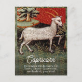 Steenbok de Geit Zodiac Sterrenbeeld Verjaardagsfe Briefkaart (Voorkant)