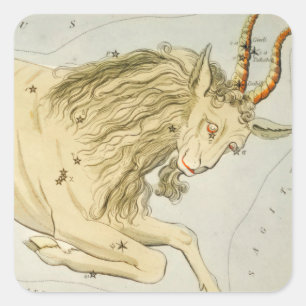 Steenbok, tiende astrologisch sterrenbeeld vierkante sticker