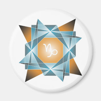 STEENBOK YANTRA MAGNEET