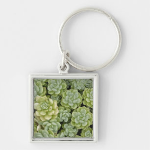 Steenbreek plantpatroon sleutelhanger