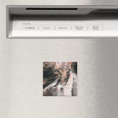 steenbrug droomt magneet (Insitu (Vaatwasser))