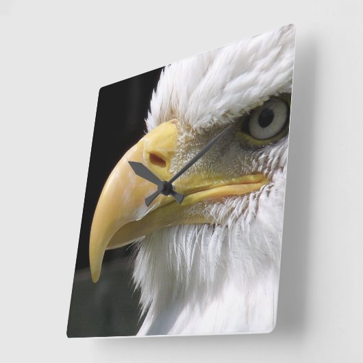 STEENDADIGE ROOFVOGEL VIERKANTE KLOK (Hoek)