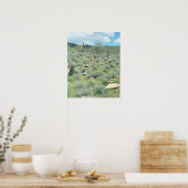 Steengesteente Sonoran Desert Poster Art Prints (Keuken)