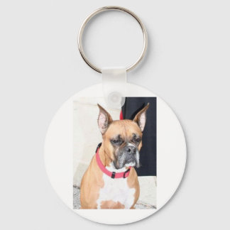 steenhond sleutelhanger