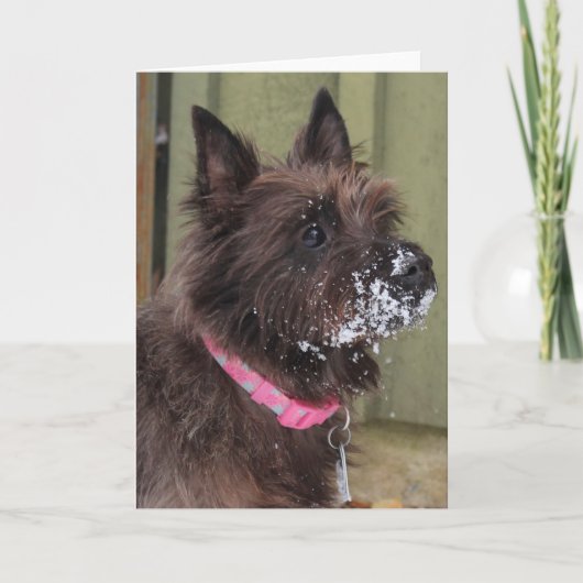 Steenhoop in sneeuw kaart (Voorkant)