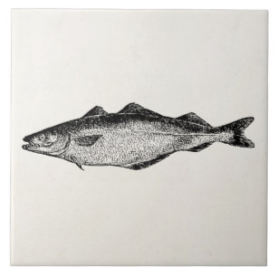steenkoolvis - Sjabloon blanco visserij Tegeltje