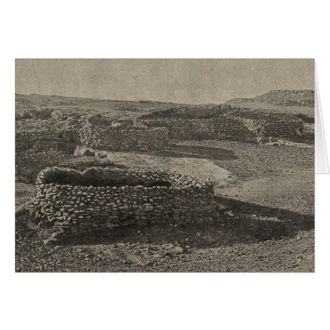 Steenkoralen (Voorkant Horizontaal)