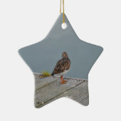 Steenloper Keramisch Ornament (Rechts)