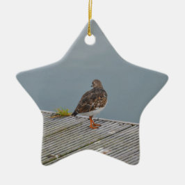 Steenloper Keramisch Ornament