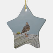 Steenloper Keramisch Ornament (Links)