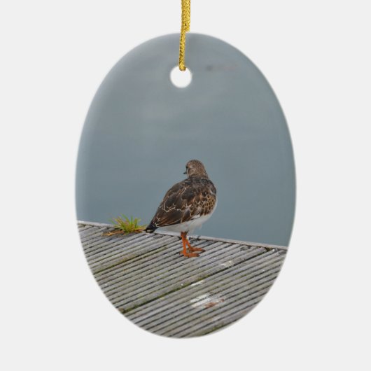 Steenloper Keramisch Ornament (Voorkant)