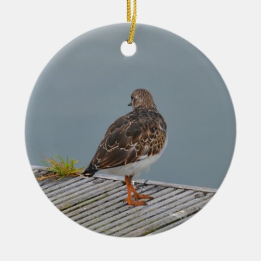 Steenloper Keramisch Ornament (Voorkant)