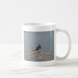 Steenloper Koffiemok