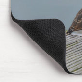Steenloper Muismat (Hoek)